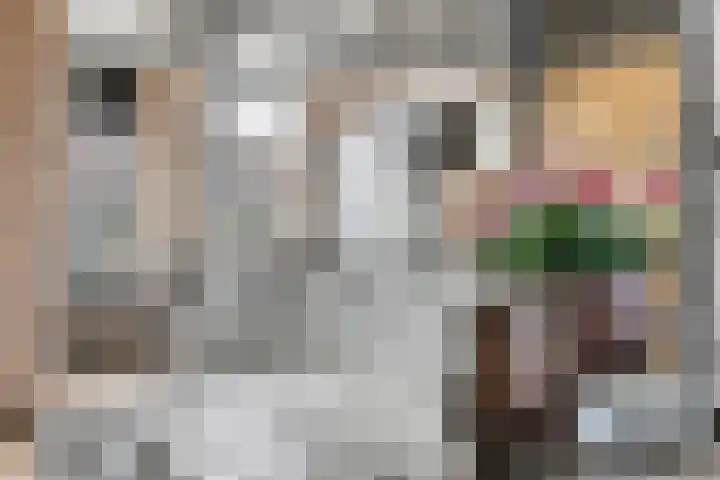 Heeskesacker 1244 Nijmegen thumbnail 14