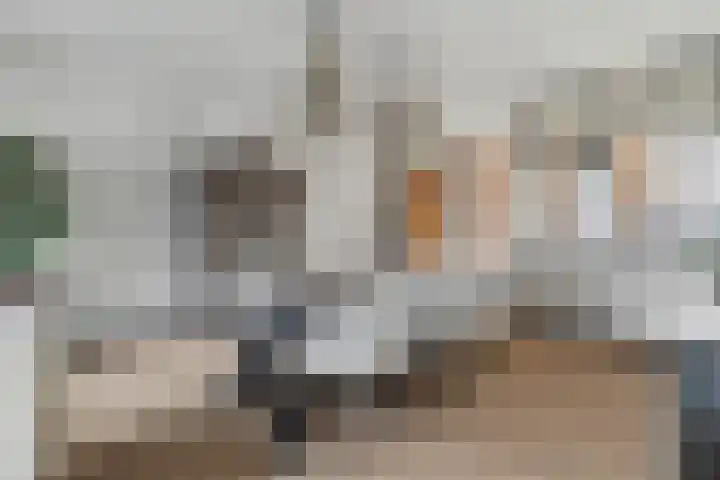 Heeskesacker 1244 Nijmegen thumbnail 16
