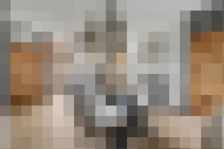 Heeskesacker 1244 Nijmegen thumbnail 18