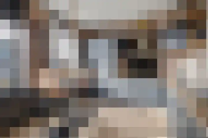 Heeskesacker 1244 Nijmegen thumbnail 20