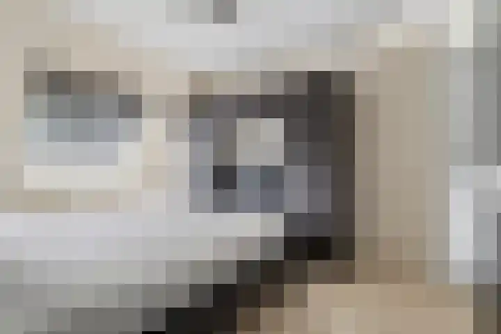 Heeskesacker 1244 Nijmegen thumbnail 30