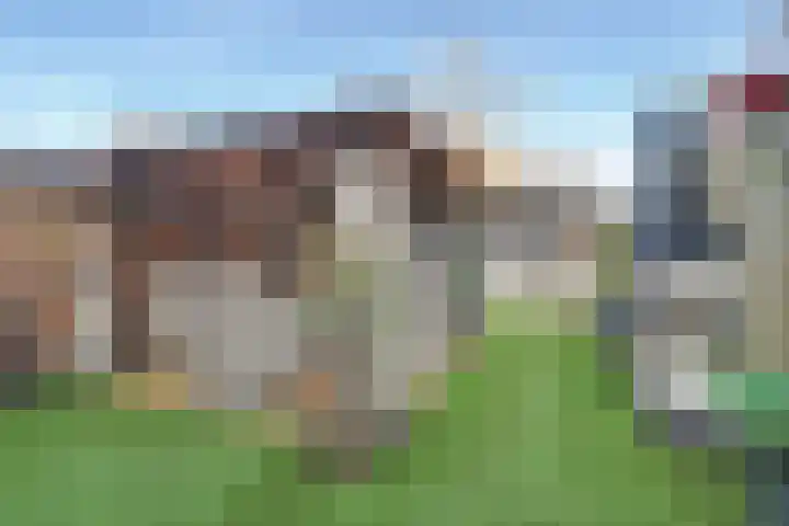 Heeskesacker 1244 Nijmegen thumbnail 43
