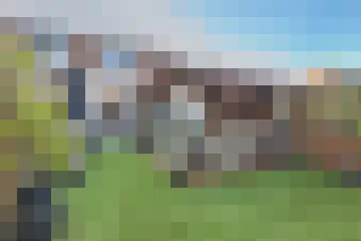 Heeskesacker 1244 Nijmegen thumbnail 45
