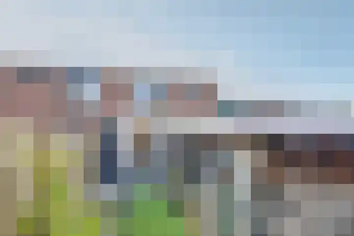 Heeskesacker 1244 Nijmegen thumbnail 47