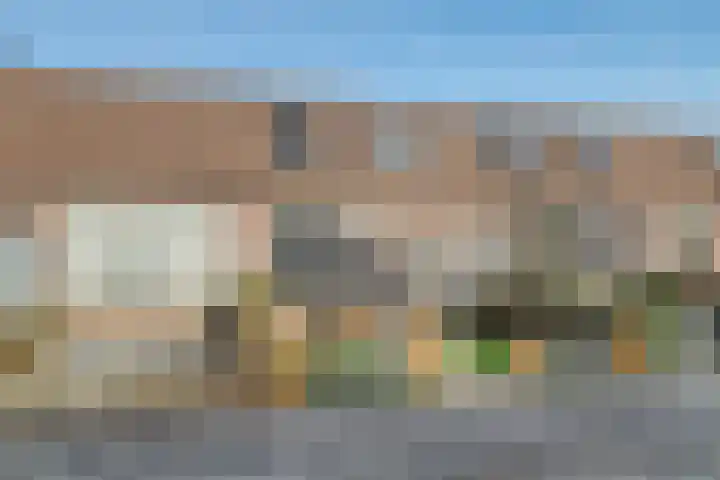 Heeskesacker 1244 Nijmegen thumbnail 56