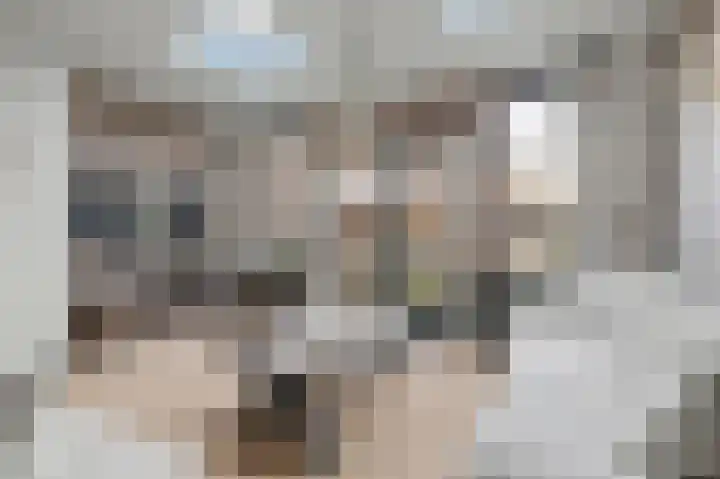 Heeskesacker 1244 Nijmegen thumbnail 6