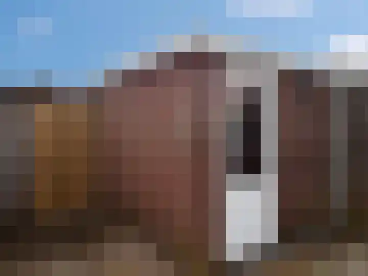 Heeskesacker 1303 Nijmegen thumbnail 19