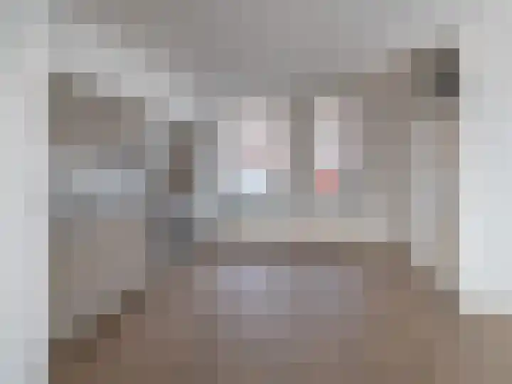 Heeskesacker 1303 Nijmegen thumbnail 5