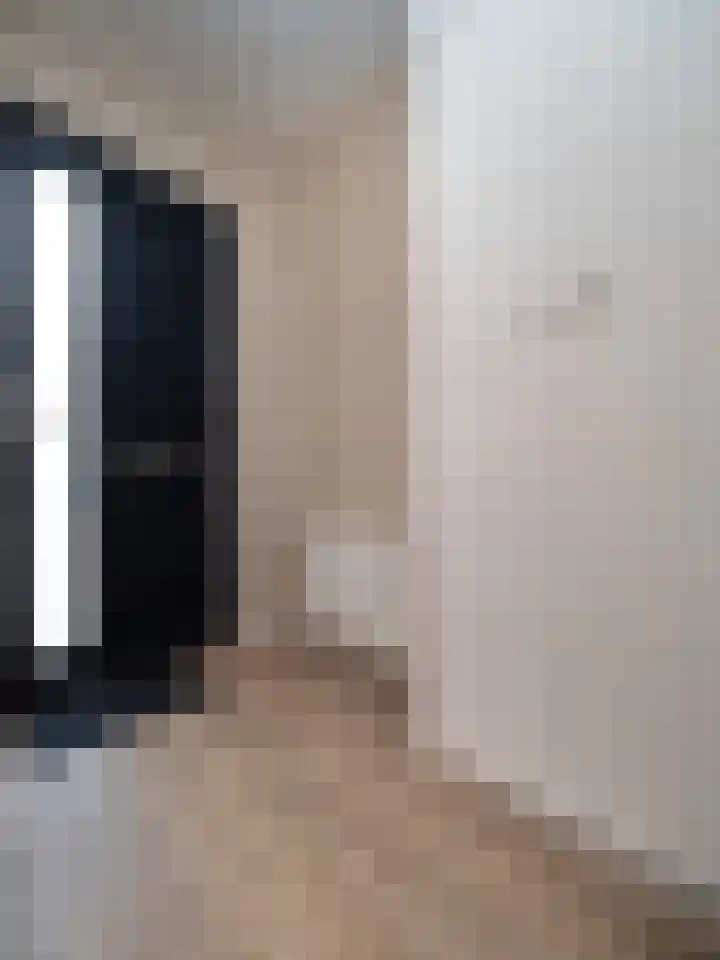 Heeskesacker 1303 Nijmegen thumbnail 8