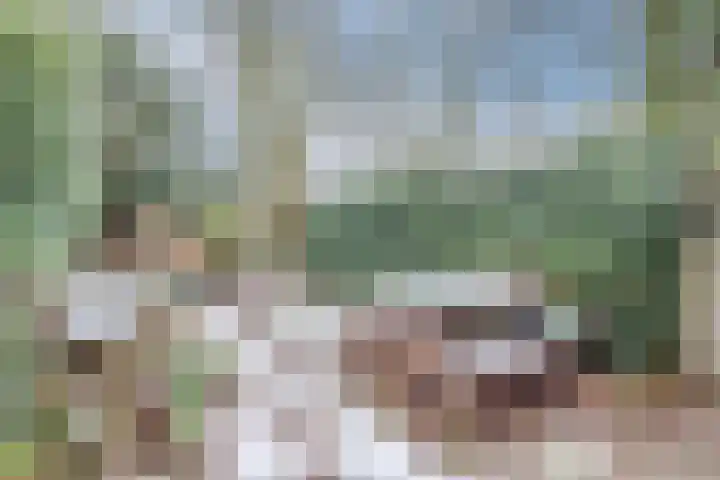 Heeskesacker 1421 Nijmegen thumbnail 29