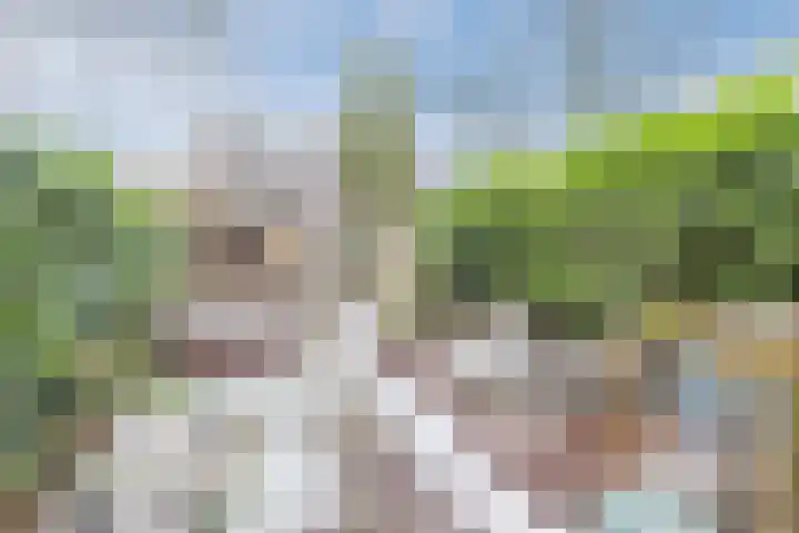 Heeskesacker 1421 Nijmegen thumbnail 30
