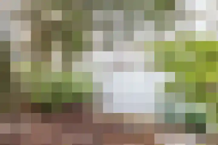 Heeskesacker 1421 Nijmegen thumbnail 31