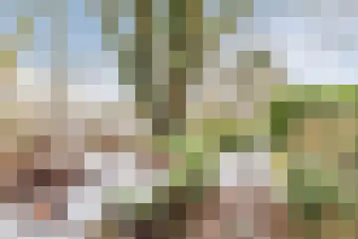 Heeskesacker 1421 Nijmegen thumbnail 32