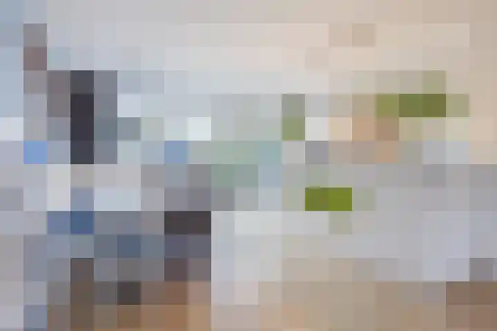 Heeskesacker 1421 Nijmegen thumbnail 9