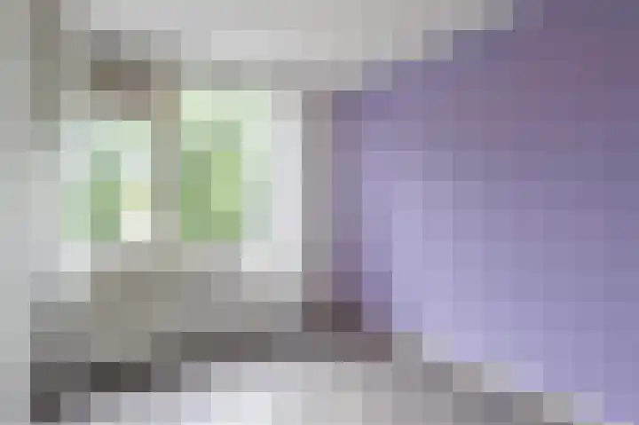 Heeskesacker 1431 Nijmegen thumbnail 23