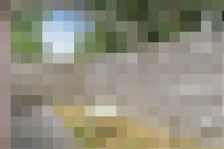 Heeskesacker 1431 Nijmegen thumbnail 32
