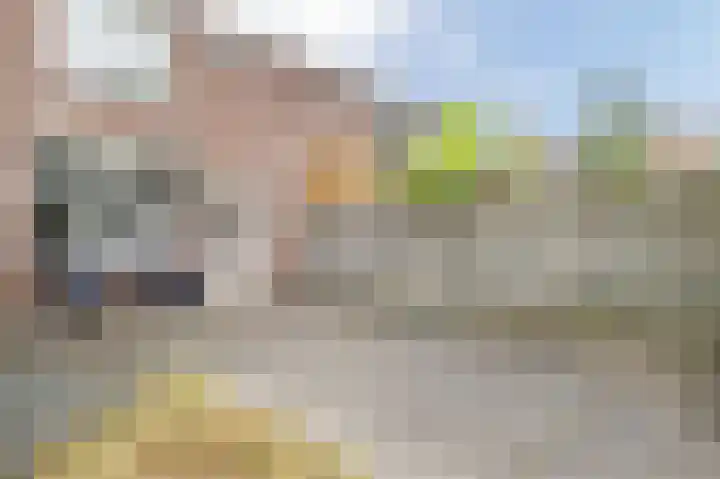 Heeskesacker 1431 Nijmegen thumbnail 34