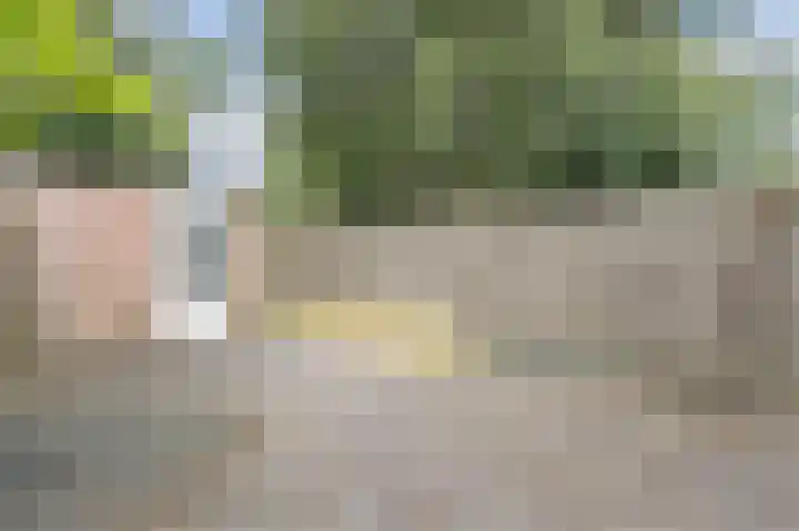 Heeskesacker 1431 Nijmegen thumbnail 36