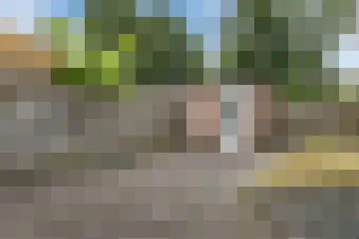 Heeskesacker 1431 Nijmegen thumbnail 37