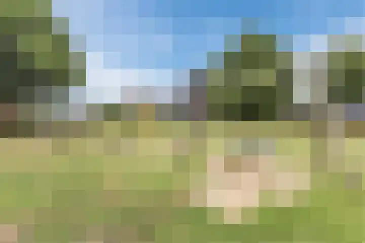 Heeskesacker 1431 Nijmegen thumbnail 38