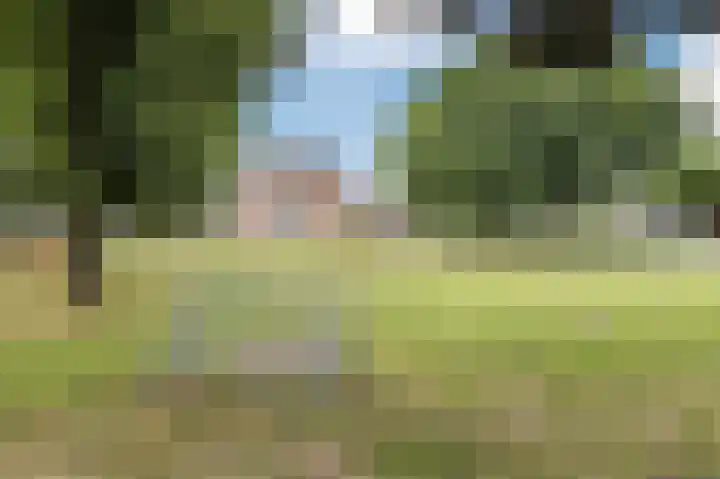 Heeskesacker 1431 Nijmegen thumbnail 39