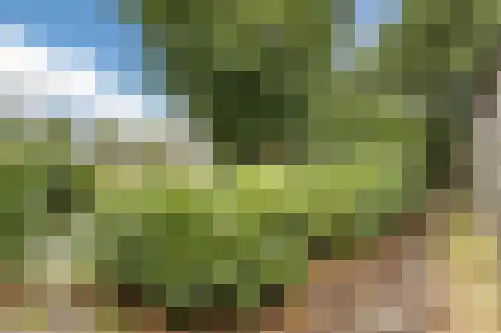 Heeskesacker 1431 Nijmegen thumbnail 40