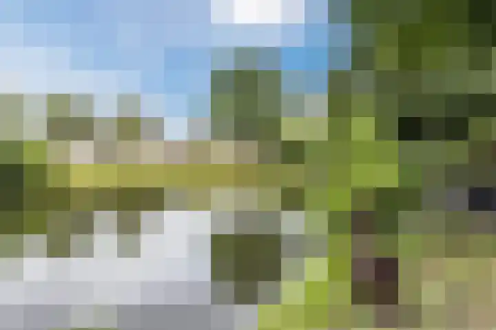 Heeskesacker 1431 Nijmegen thumbnail 41