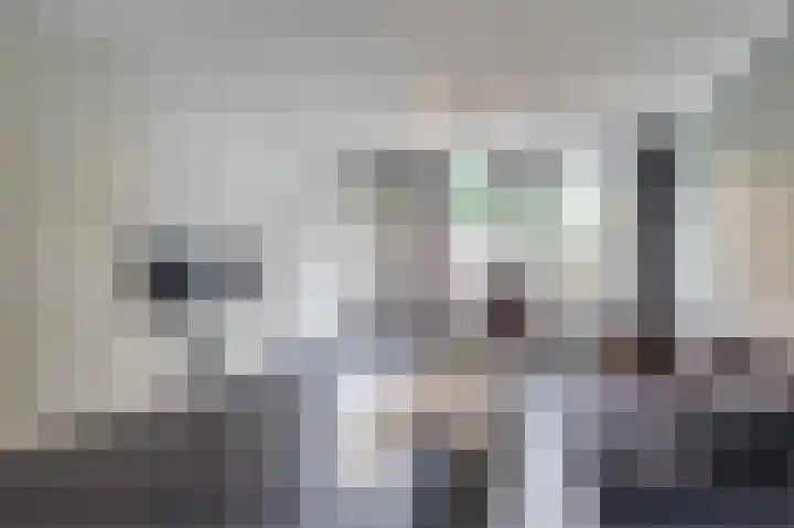 Heeskesacker 1431 Nijmegen thumbnail 6