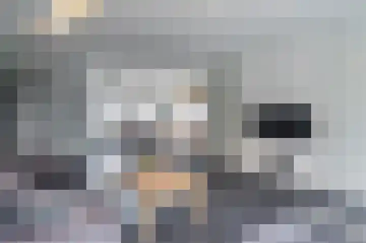 Heeskesacker 1431 Nijmegen thumbnail 9