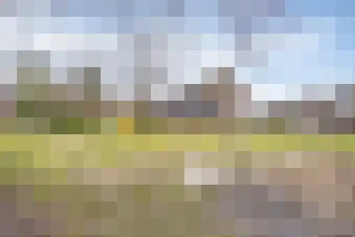 Heeskesacker 1439 Nijmegen thumbnail 31