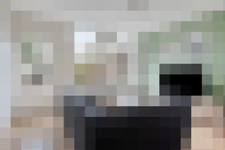 Heeskesacker 1439 Nijmegen thumbnail 4