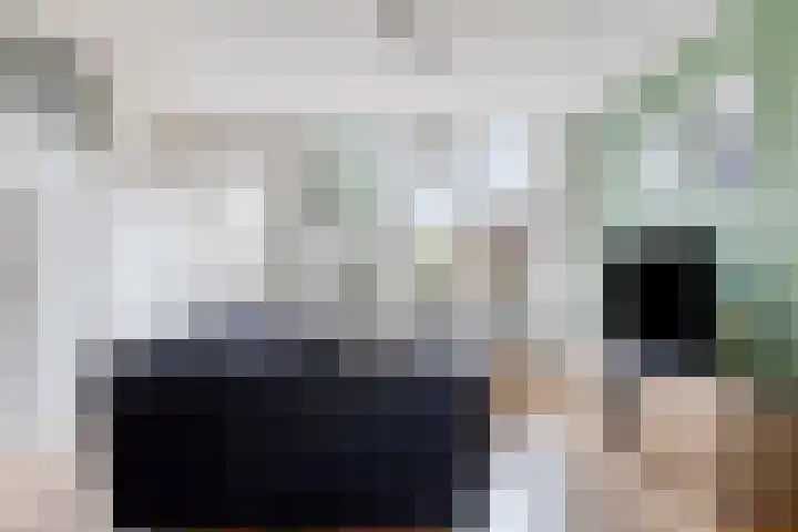 Heeskesacker 1439 Nijmegen thumbnail 5