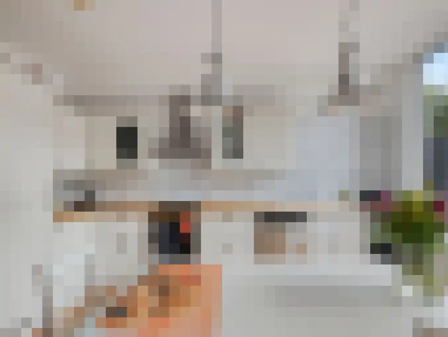Heeskesacker 1449 Nijmegen thumbnail 19