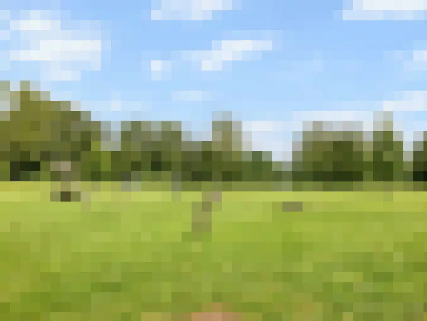 Heeskesacker 1449 Nijmegen thumbnail 45