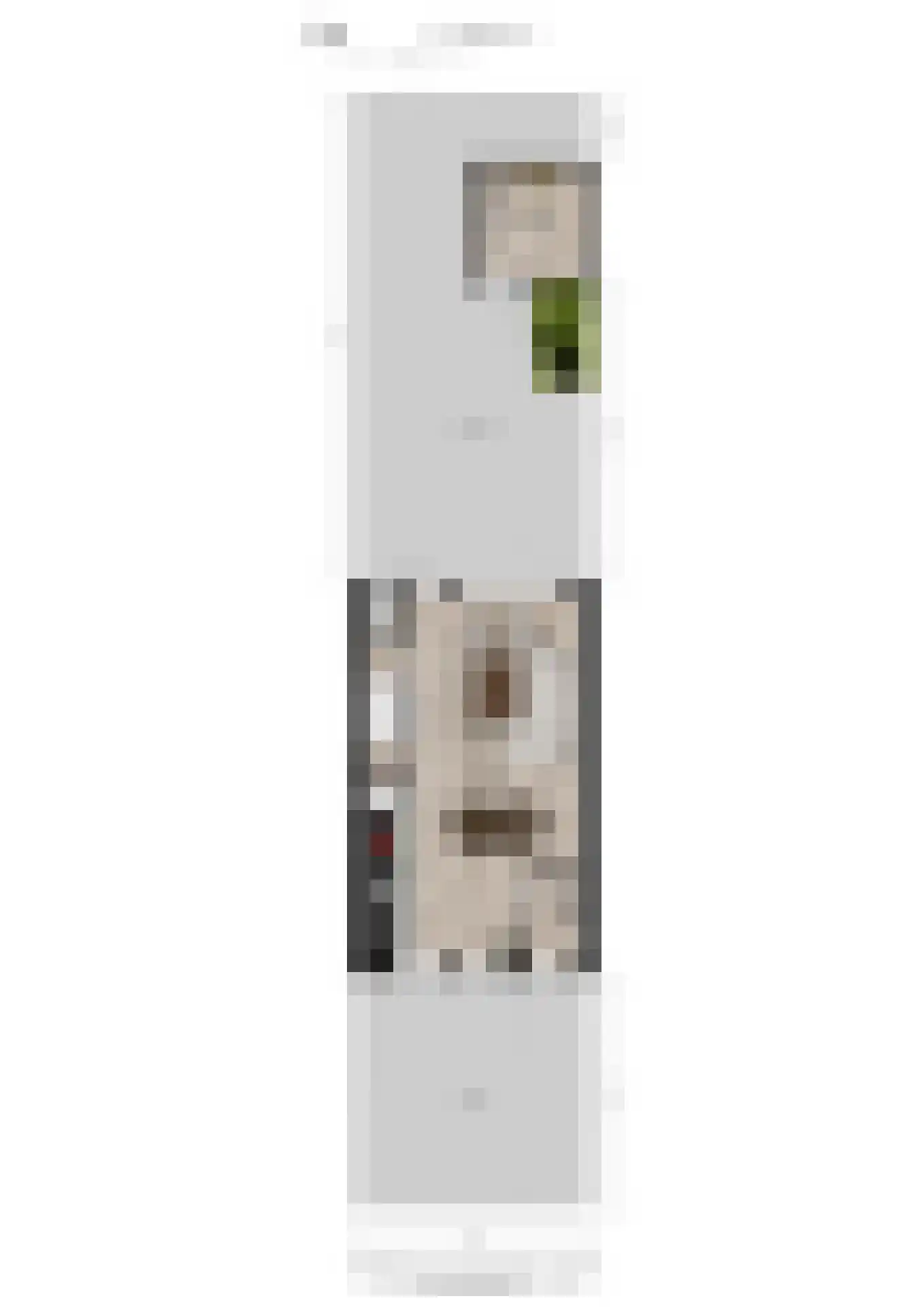 Heeskesacker 1512 Nijmegen thumbnail 46