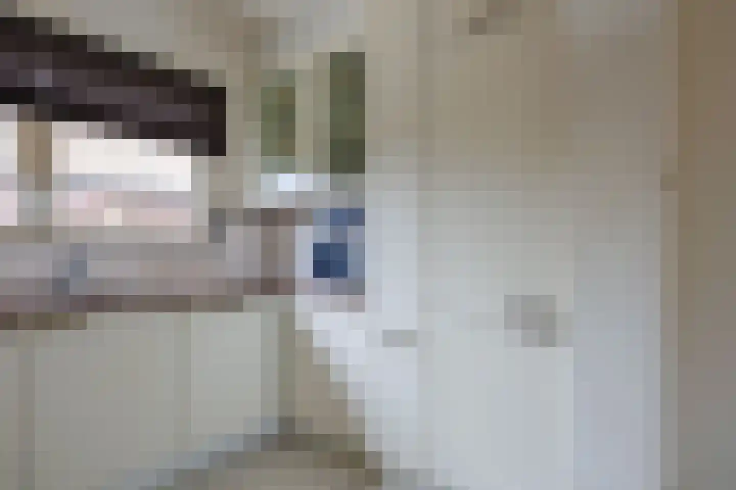 Heeskesacker 1516 Nijmegen thumbnail 12