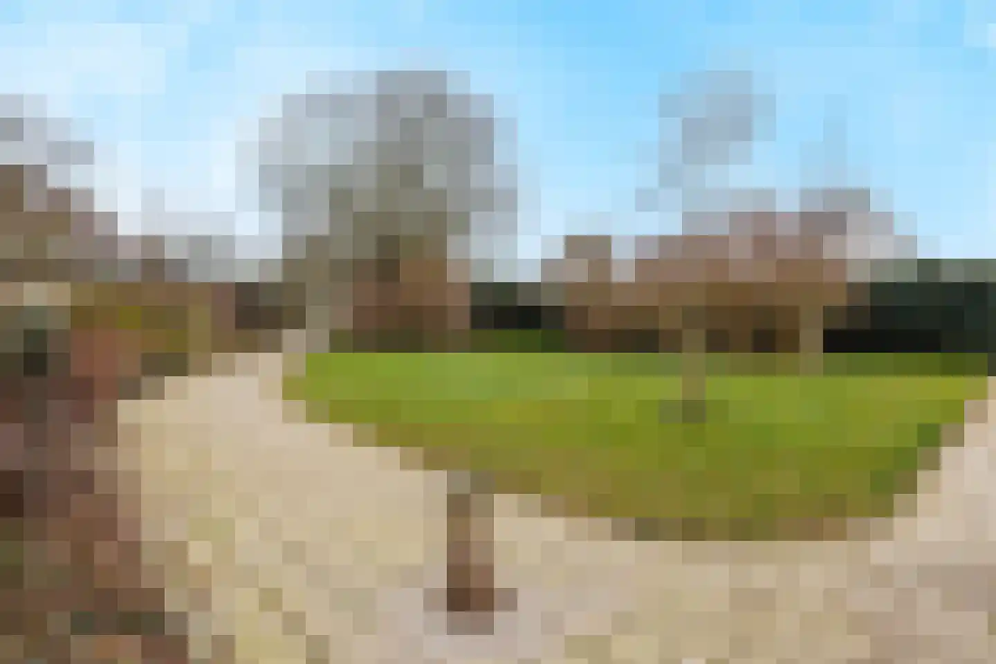 Heeskesacker 1516 Nijmegen thumbnail 36