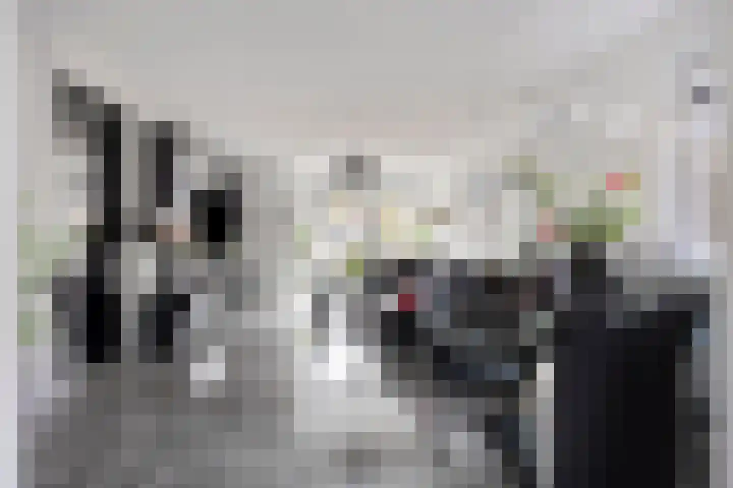 Heeskesacker 2048 Nijmegen thumbnail 11
