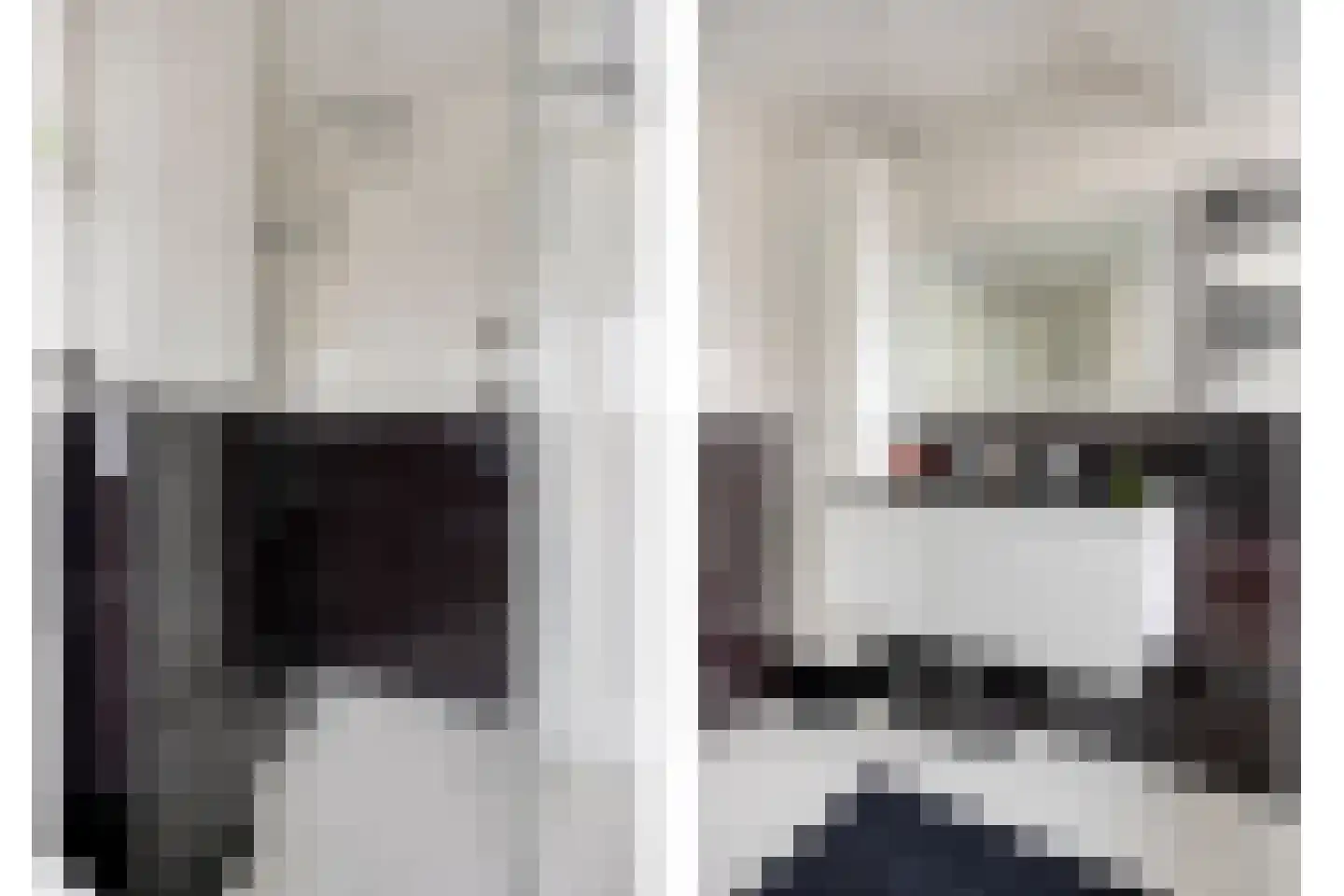 Heeskesacker 2048 Nijmegen thumbnail 17