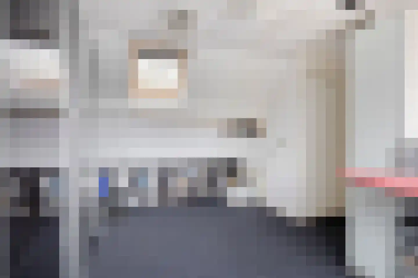 Heeskesacker 2048 Nijmegen thumbnail 25