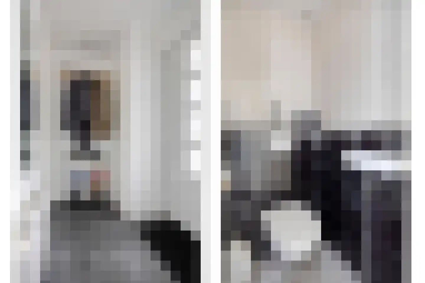Heeskesacker 2048 Nijmegen thumbnail 5