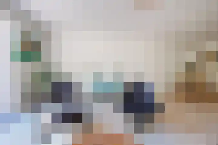 Heeskesacker 2130 Nijmegen thumbnail 11