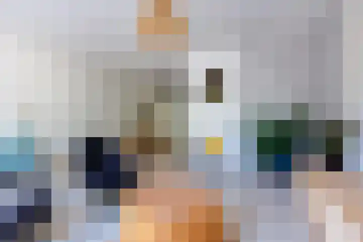 Heeskesacker 2130 Nijmegen thumbnail 13