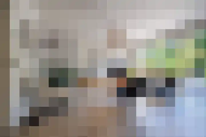 Heeskesacker 2130 Nijmegen thumbnail 14