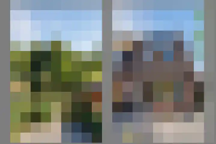 Heeskesacker 2130 Nijmegen thumbnail 15