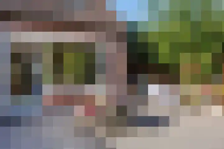 Heeskesacker 2130 Nijmegen thumbnail 16