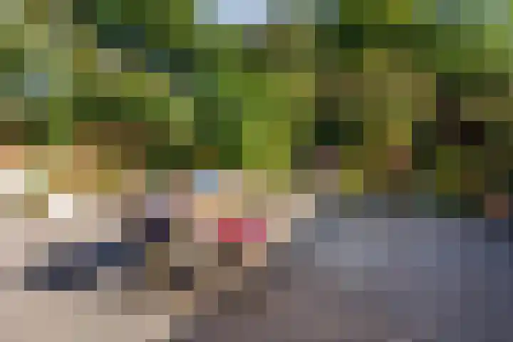Heeskesacker 2130 Nijmegen thumbnail 18