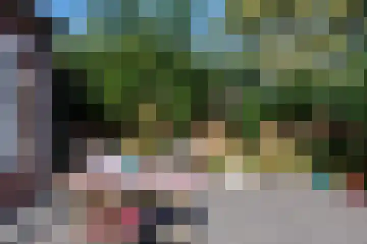 Heeskesacker 2130 Nijmegen thumbnail 20