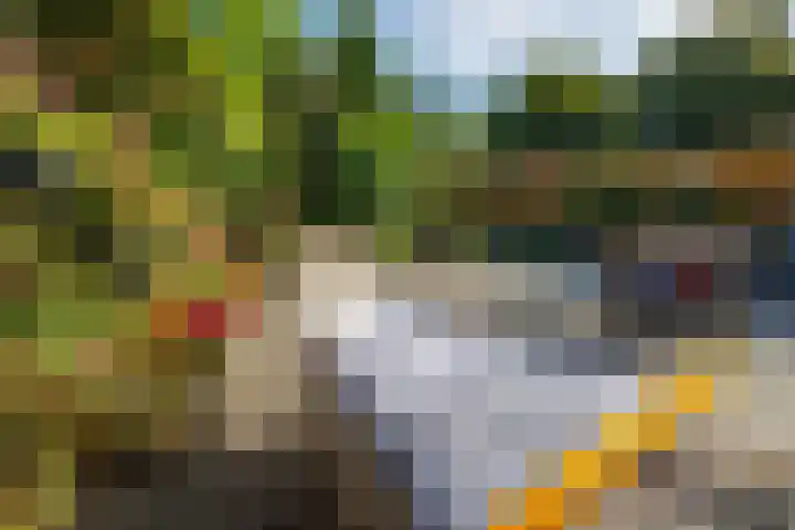 Heeskesacker 2130 Nijmegen thumbnail 21