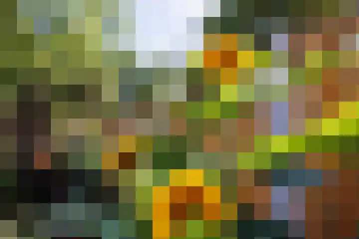 Heeskesacker 2130 Nijmegen thumbnail 23